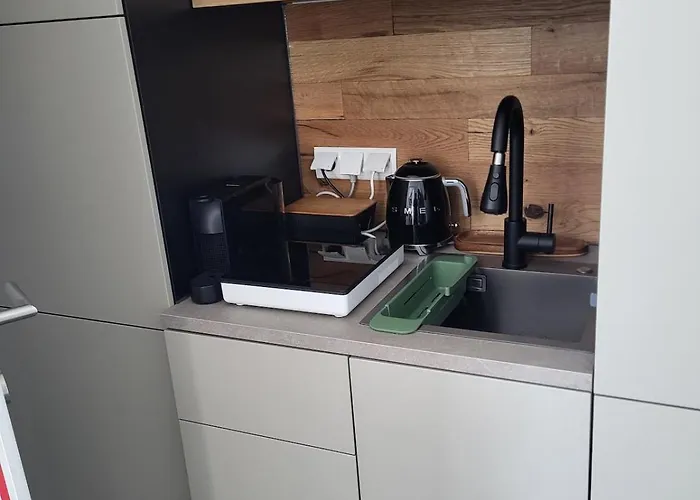 Luxury Penthouse Wien 2 Dachterrassen Fuer 8 Pers * וינה