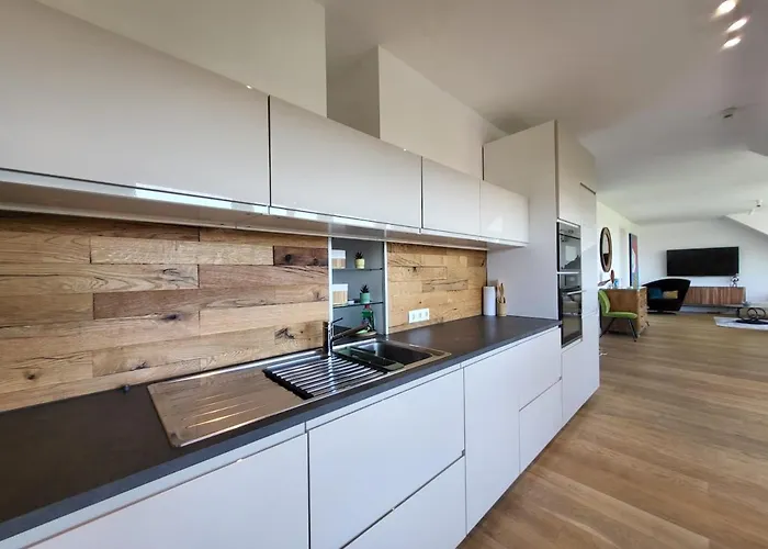 Luxury Penthouse Wien 2 Dachterrassen Fuer 8 Pers * וינה