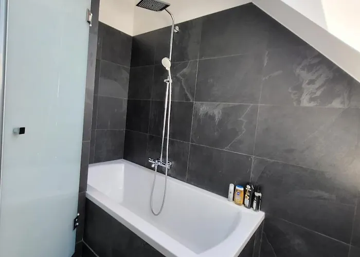 Luxury Penthouse Wien 2 Dachterrassen Fuer 8 Pers דירה וינה